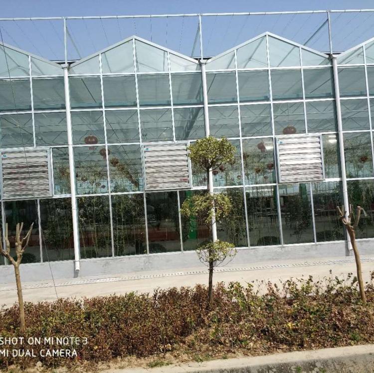山东玻璃温室大棚造价 智能温室 温室工程建设