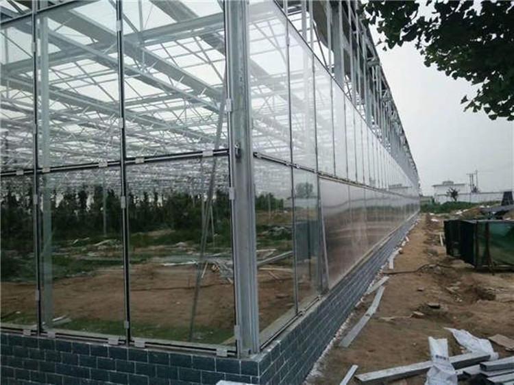智能玻璃温室 连栋薄膜温室 温室工程建设 鋆成兴达值得信赖