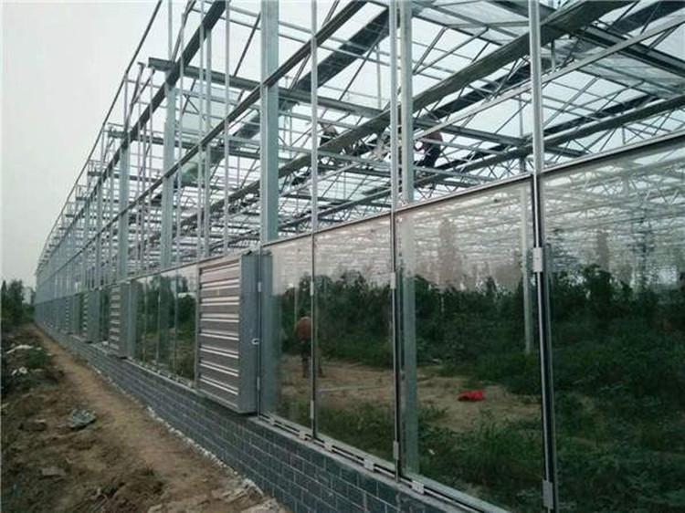 玻璃温室 连栋薄膜温室 温室工程建设 鋆成兴达值得信赖