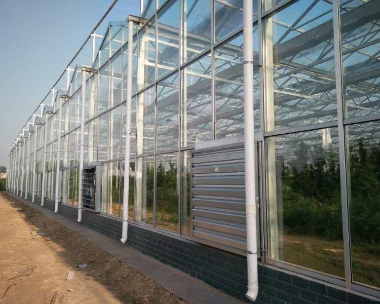 鋆成兴达承建连栋玻璃钢温室 连栋薄膜温室 智能阳光板温室 温室配件