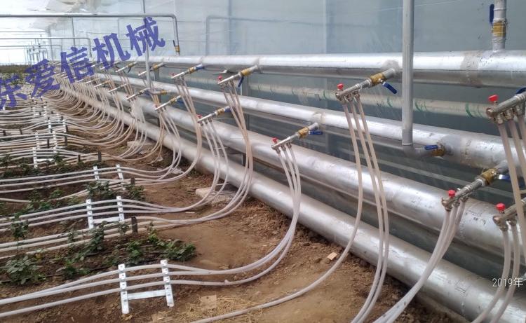 温室大棚花卉大棚工程玻璃温室加温降温工程青州爱信机械