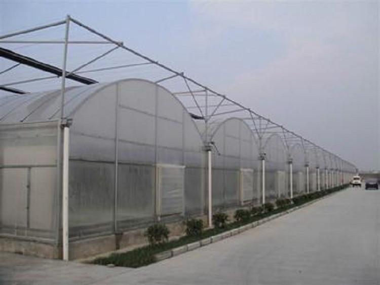蔬菜花卉日光温室建造 大棚温室安装