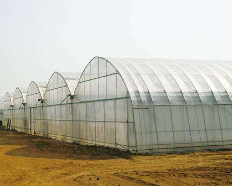 连栋薄膜温室大棚  连栋大棚 鸿川专业施工连栋薄膜大棚