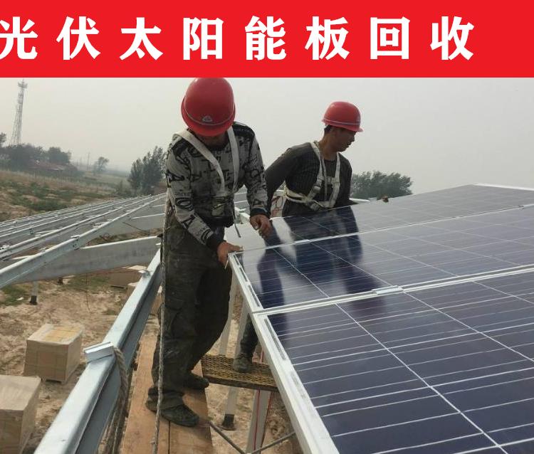 路灯光伏太阳能组件板回收 隆基光伏板回收全国上门不限区域