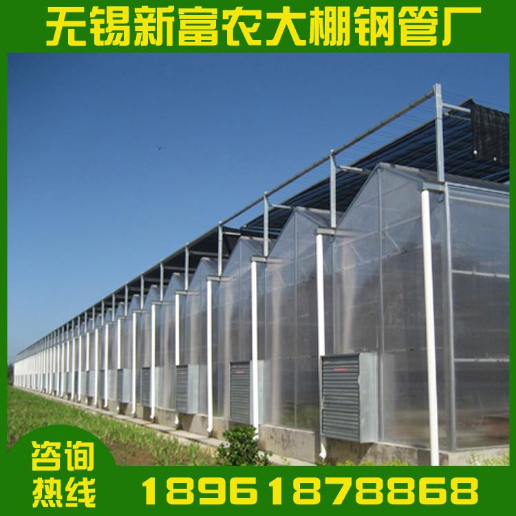 大棚镀锌钢管 农用大棚钢管 蔬菜大棚管 草莓大棚管 连栋温室大棚