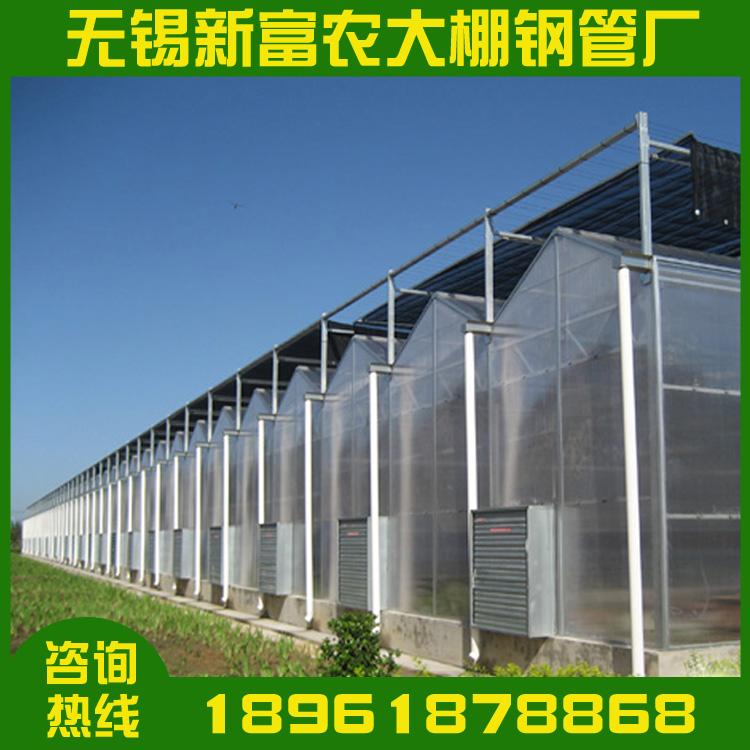 蔬菜大棚一亩造价 连体大棚价格 火龙果热镀锌大棚 养殖镀锌大棚