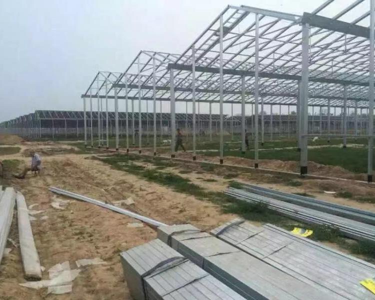 智能玻璃钢架 阳光板大棚 玻璃温室 鋆成兴达承包安装