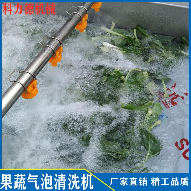 厂家直销果蔬清洗机 气泡冲浪喷淋白菜清洗机 大量叶类菜清洗机