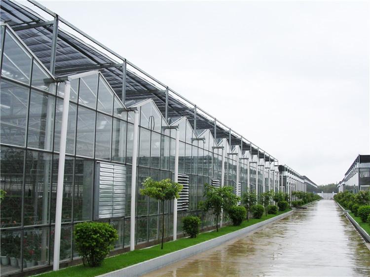 景观生态温室餐厅-生态园林温室玻璃大棚-智能温室生态餐厅建设