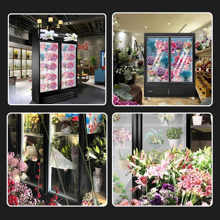 双门三门鲜花保鲜柜 花店鲜花展示柜 鲜花冷藏柜商厨世家