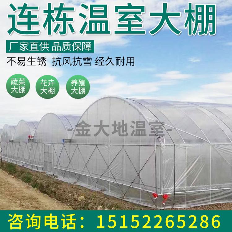 宁波温室大棚厂家直销热镀锌大棚骨架连栋温室大棚蔬菜大棚养殖大棚免费设计