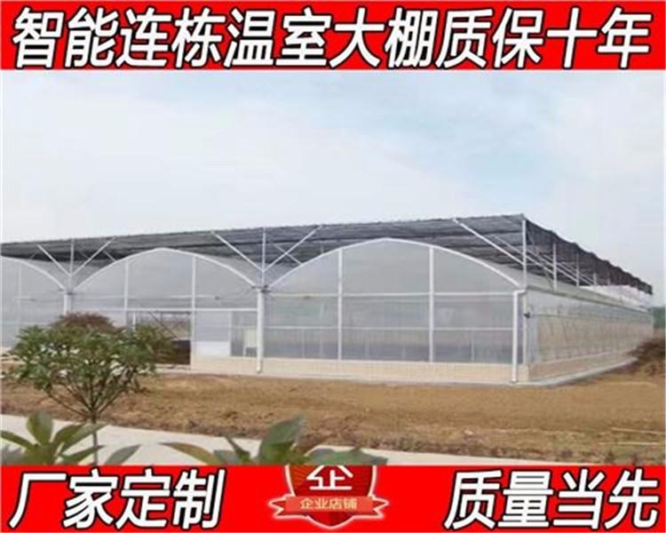 蔬菜大棚造价 连栋玻璃蔬菜大棚 农业薄膜蔬菜大棚温室大棚