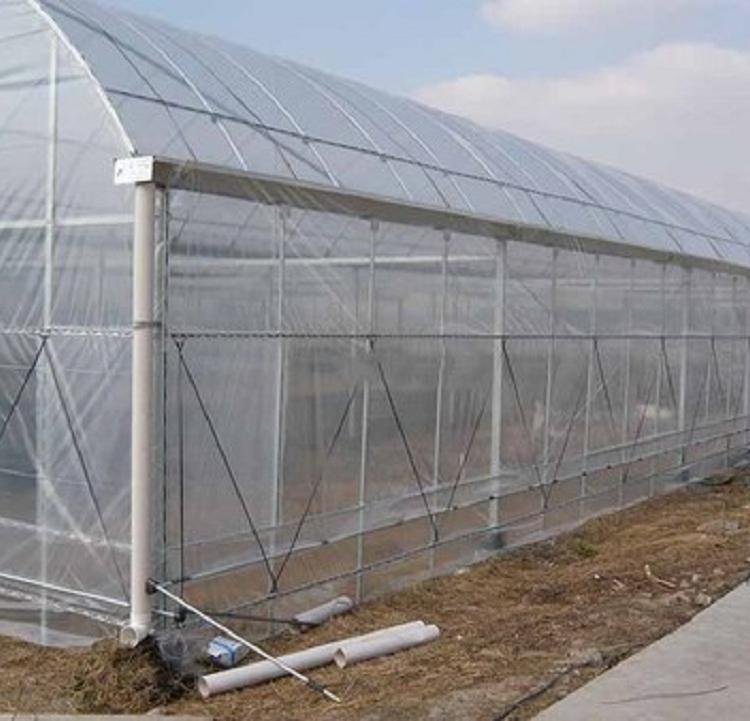 薄膜温室大棚建设 薄膜温室大棚建造价格欢迎来电鸿运达
