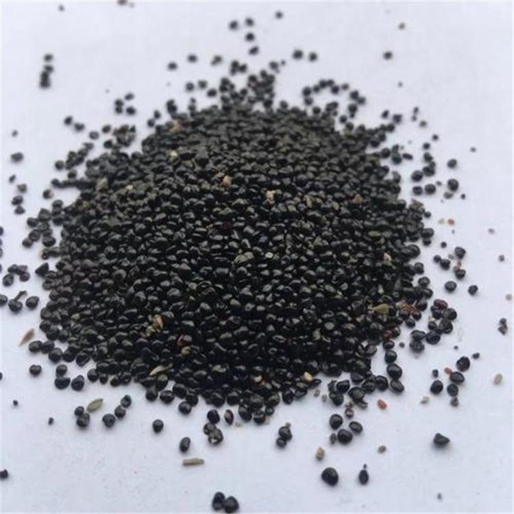 花菱草种子 草坪花菱草种子批发 青州花菱草价格