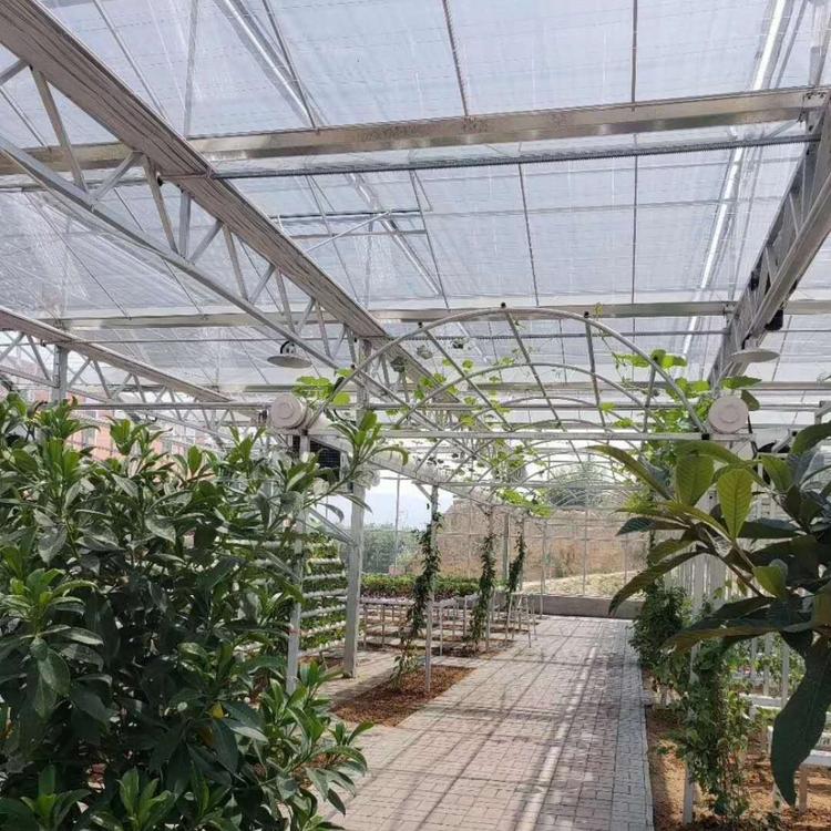 建造口碑温室工程 青州金威温室 双拱薄膜连栋大棚