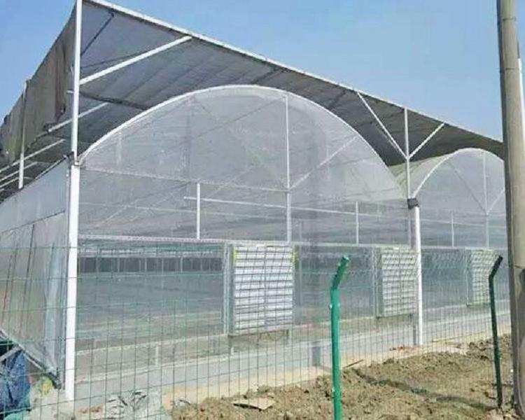 高温蔬菜棚建设 蔬菜大棚施工队 高温棚价格