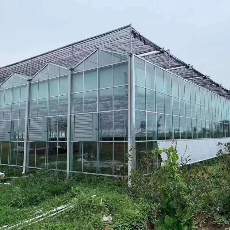 金威建设玻璃温室 日光玻璃蔬菜大棚 农业种植大棚