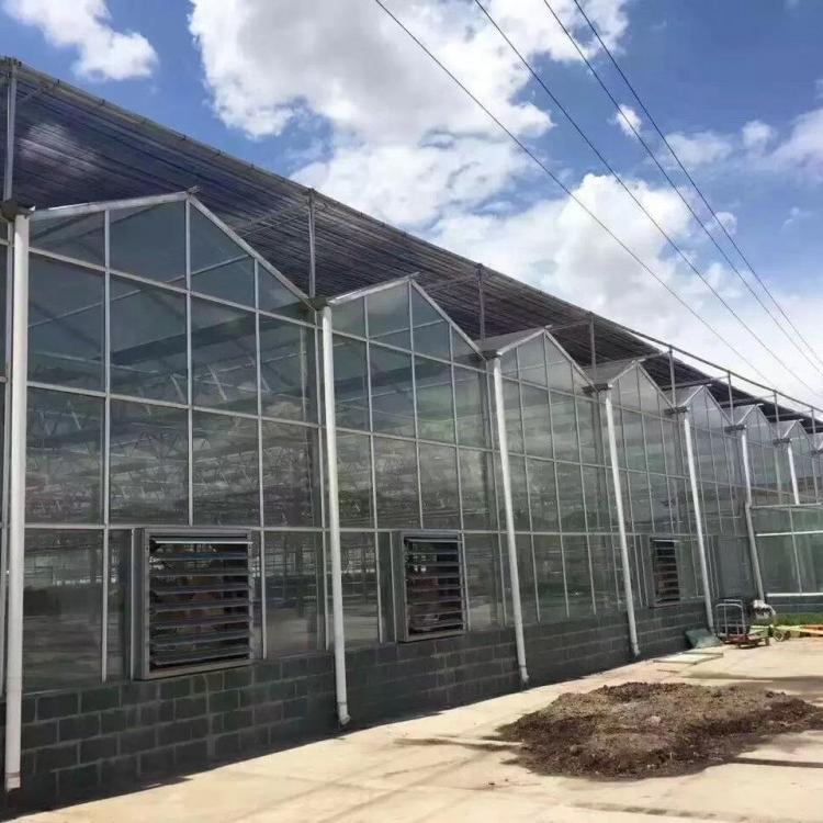 玻璃阳光板智能温室工程建设 连栋大棚 纹络温室承建