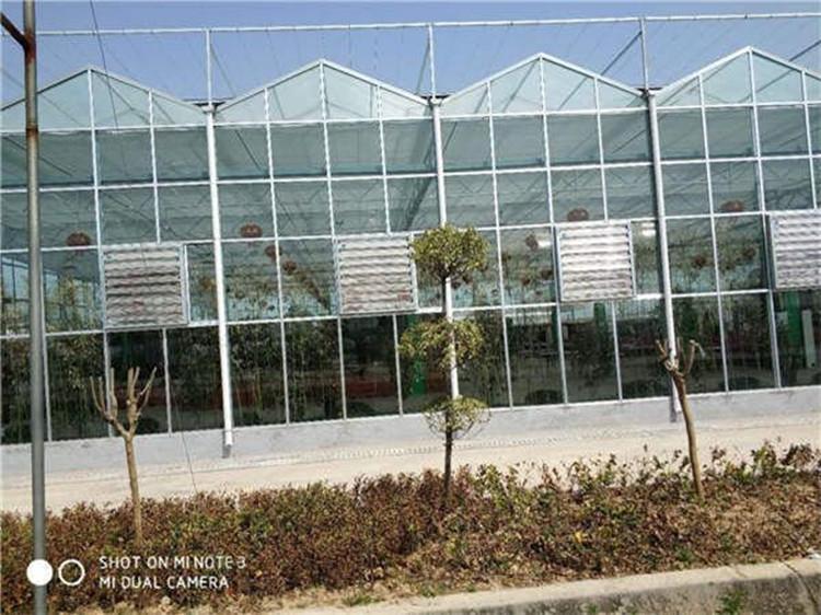 厂家承建连栋玻璃温室 纹络玻璃温室工程 温室大棚造价