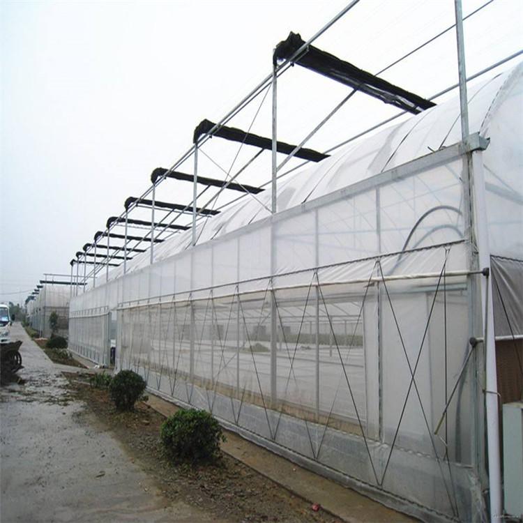 青州薄膜大棚承建商 兰花种植大棚 大棚安装公司 博盛温室