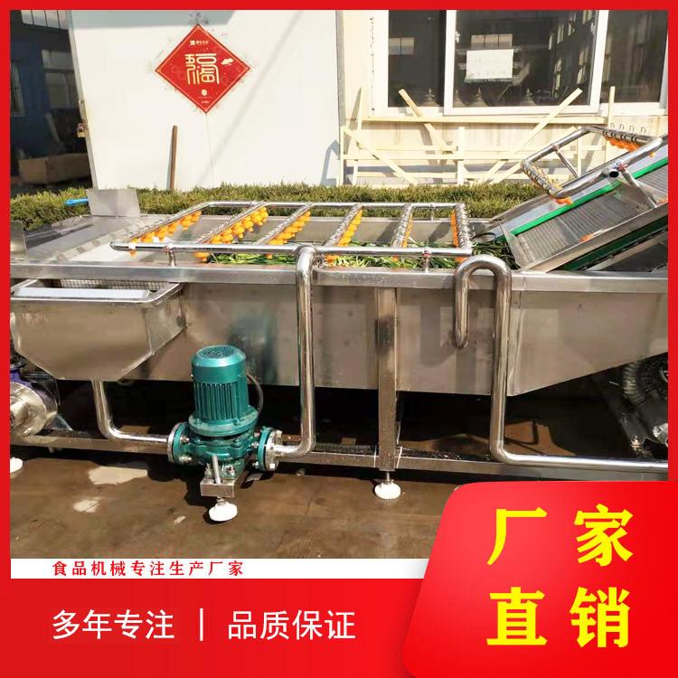 厂家供应 不锈钢蔬菜气泡清洗机 蔬菜清洗机 气泡式清洗机 全自动果蔬清洗流水线
