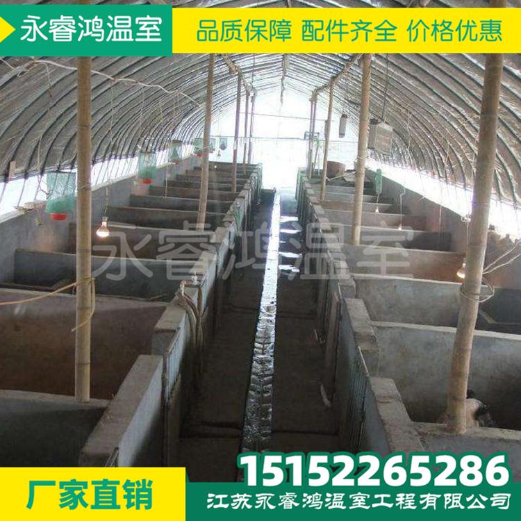 定制养猪养鸡畜牧养殖温室大棚骨架批发农业生态单体养殖大棚 大棚管件