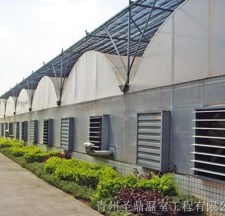 PC阳光板温室承建 温室大棚建造商-青州圣鼎  阳光板温室设计建设