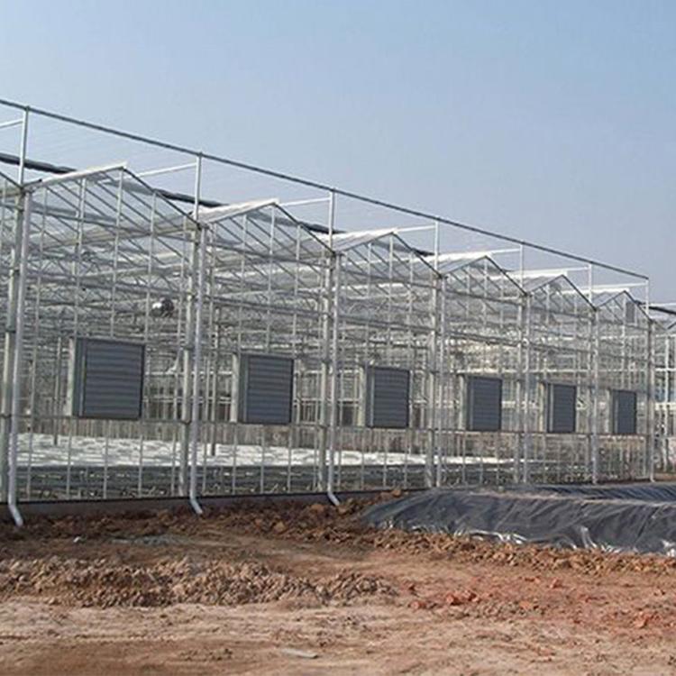 玻璃温室 青州玻璃温室工程建设 找金农