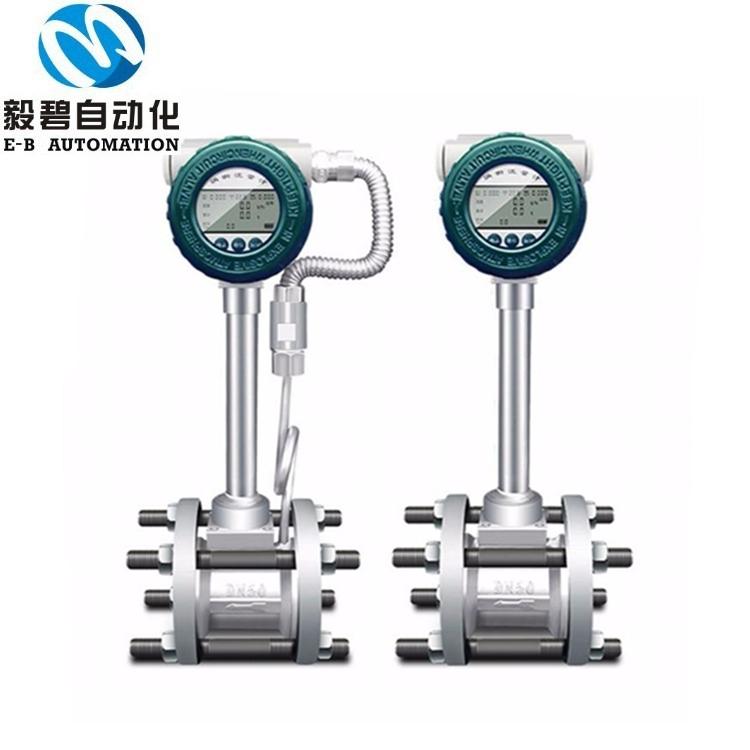 沼气涡街流量计