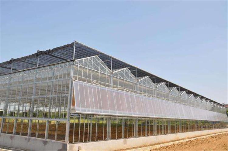 薄膜大棚 博盛温室建造蔬菜薄膜大棚 薄膜连体温室