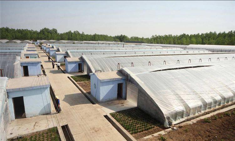 低价建设各种温室大棚 土墙几字钢温室大棚 节能日光温室-恒丰温室