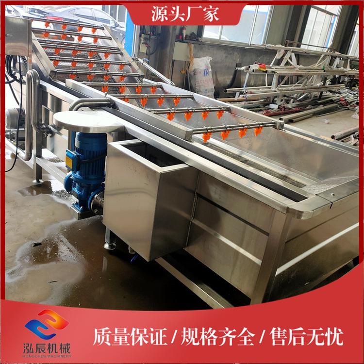 全自动小油菜清洗机 香菇气泡清洗机价格 高压喷淋式生姜清洗机