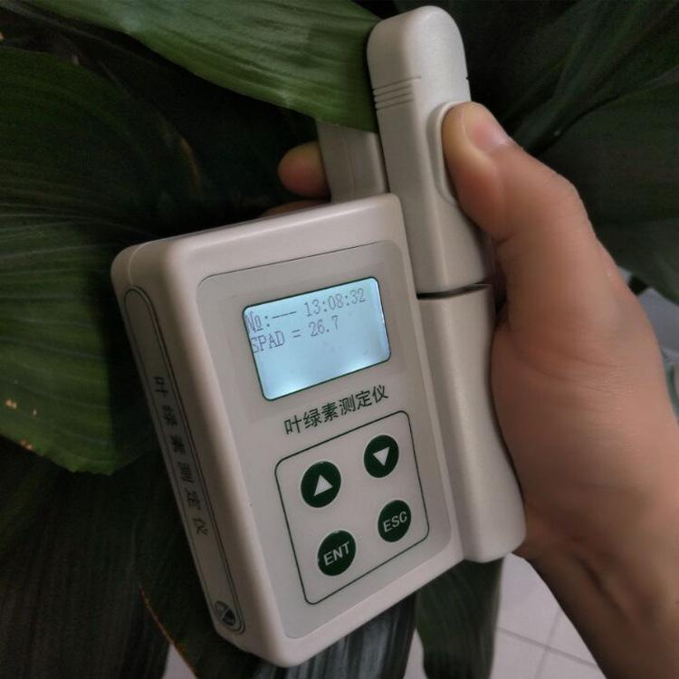 厂家热销四参数叶绿素测定仪 手持式叶绿素测定仪 质量保证 价格实惠