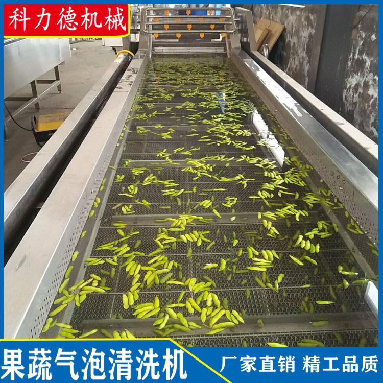 蔬菜清洗机 不锈钢果蔬气泡清洗机 气泡喷淋式清洗机 连续式蔬菜清洗机