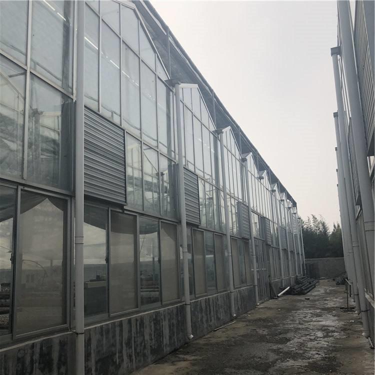 青州天之蓝  纹洛型玻璃温室 纹洛型温室建设 纹洛型温室报价