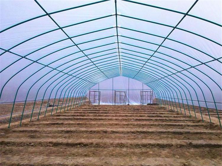 日光温室 温室工程搭建 山东厂家 定制直销 现代大棚建设 温室大棚建设 博盛温室大棚的建造