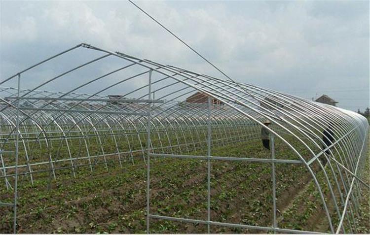 博盛—大跨度日光温室建造 节能日光温室 连栋日光温室大棚价格