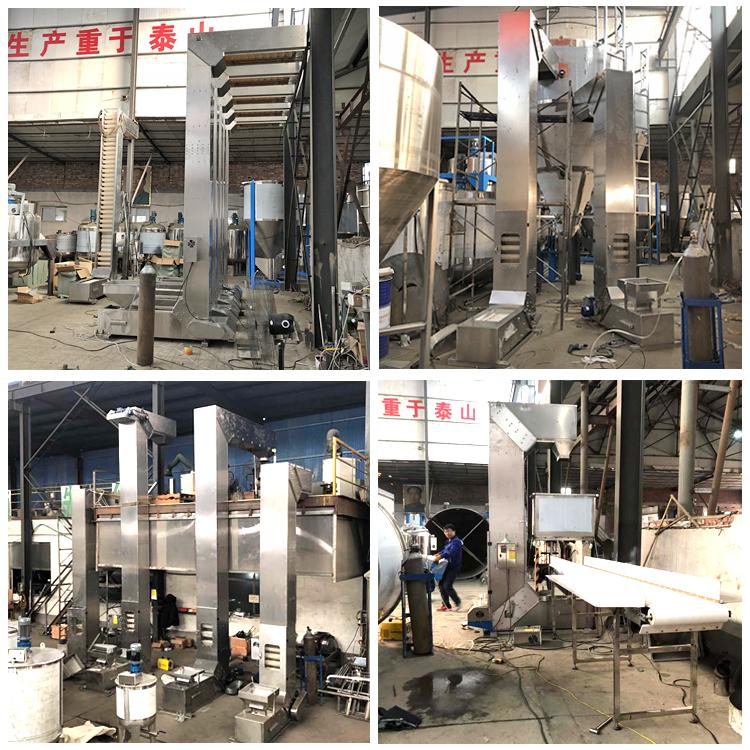 枇杷干Z字型斗式提升机果蔬干包装机专用斗提机带调速升降机