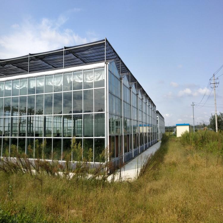 实用的温室大棚设计 温室大棚材料加工 温室材料销售