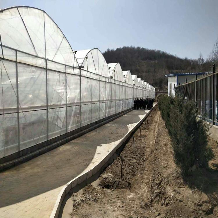 浙江智能连栋温室施工   智能玻璃温室建设    智能温室厂家批发