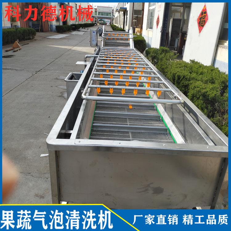 韭菜芹菜大姜清洗流水线 多功能果蔬清洗机 高压喷淋去泥气泡清洗机定制