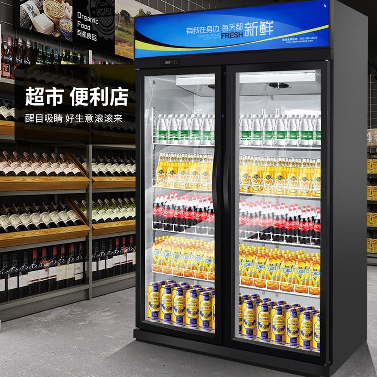 商用啤酒柜 双门饮料柜 单门啤酒柜 啤酒展示柜商厨世家