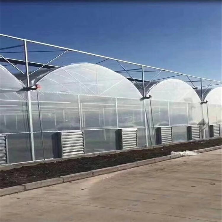 连栋大棚 薄膜温室大棚建设