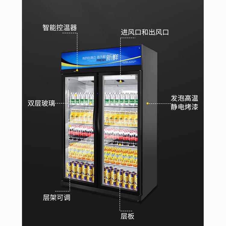 啤酒展示柜 冷藏啤酒柜 饮料展示柜 立式冰柜商厨世家