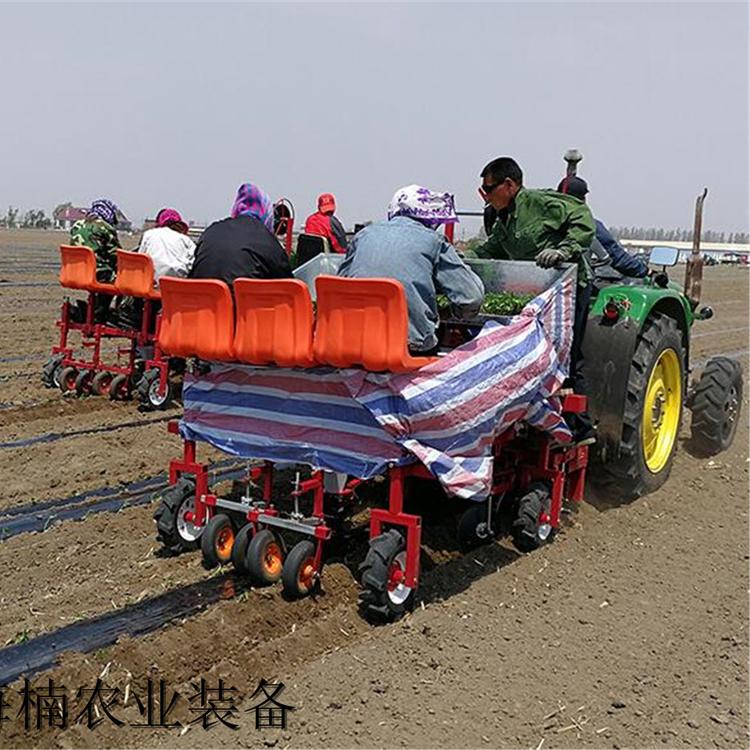 移栽机 辣椒移栽机 两行辣椒移栽机价格