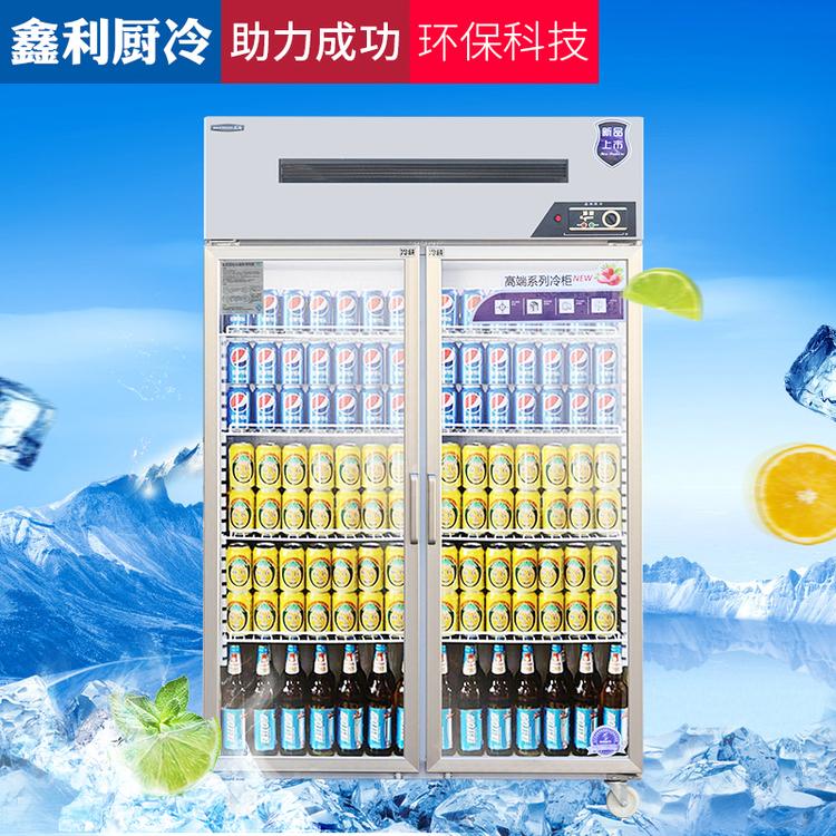 玻璃门展示柜 双门展示柜 双门啤酒饮料冷藏柜 厂家定制双门冷柜