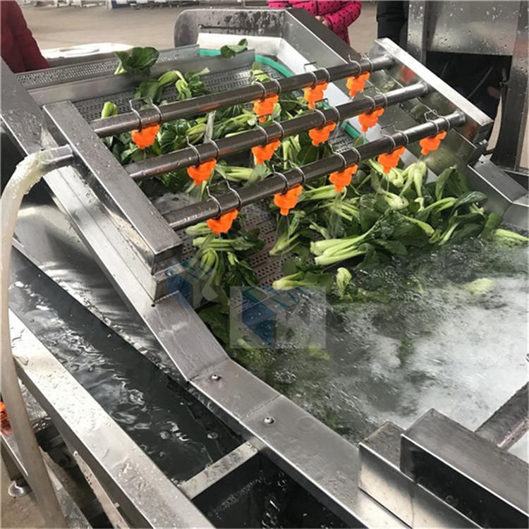 黄桃清洗漂烫分拣生产线 厂家供应水果深加工流水线 热销型