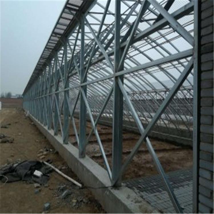 咨询建造冬暖式日光温室的方法   方立农业承建冬暖式日光温室工程