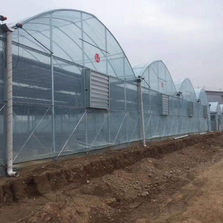 鋆成兴达承接单拱温室大棚 薄膜你温室大棚 日光温室工程