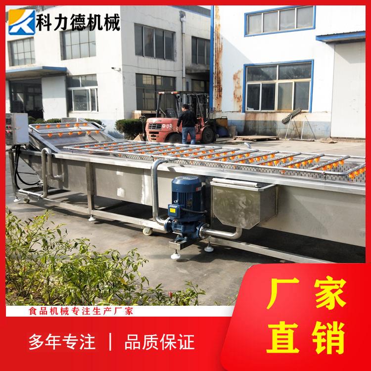 火龙果桃子玉米高压气泡清洗机 土豆大白菜翻浪式气泡清洗机厂家